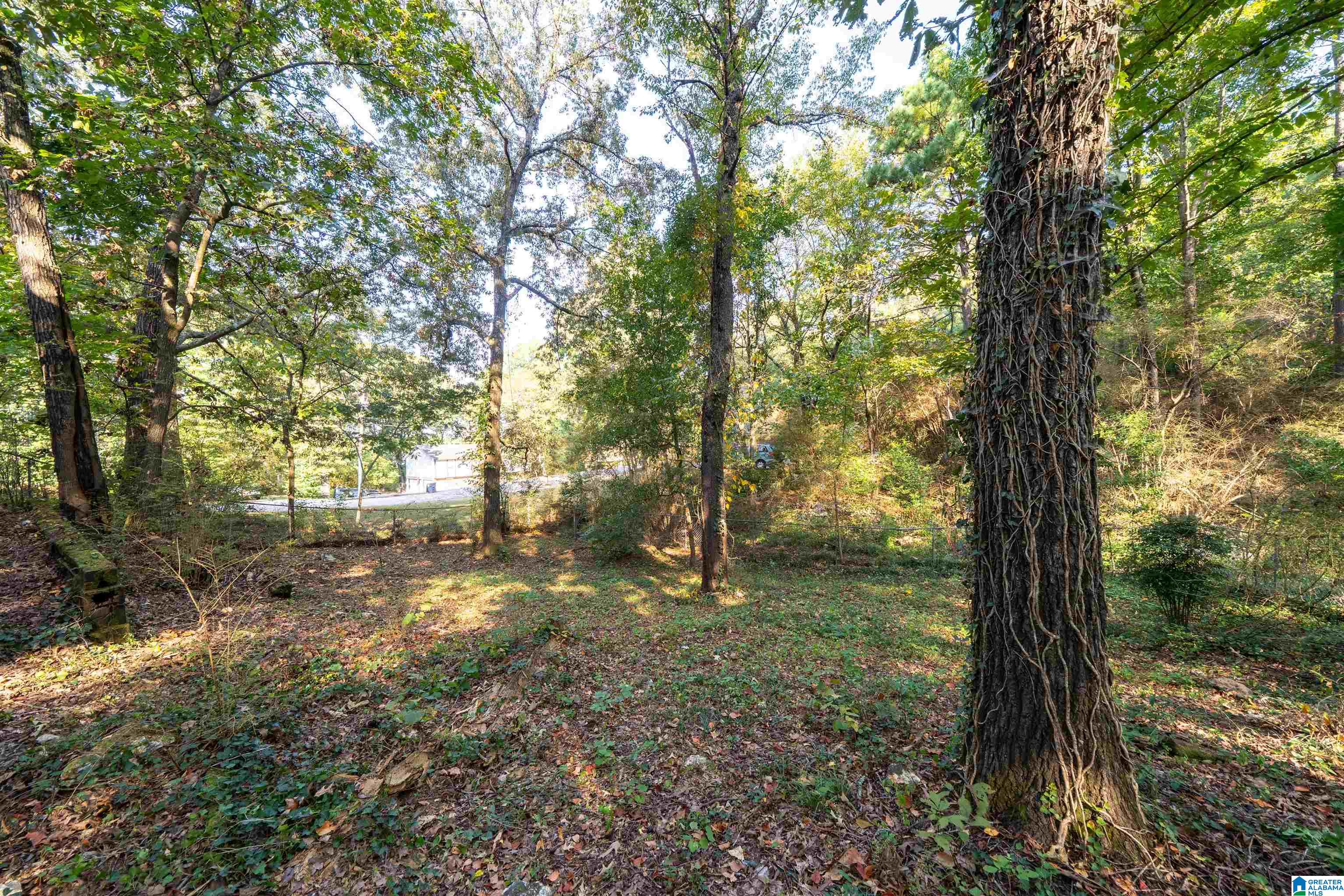 1202 Bold Ruler Lane Helena, AL 35080 - Photo 34 of 35
