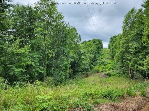 183 Vicars Ridge Road Gandeeville, WV 25243 - Photo 3 of 6 Gallery Image 3