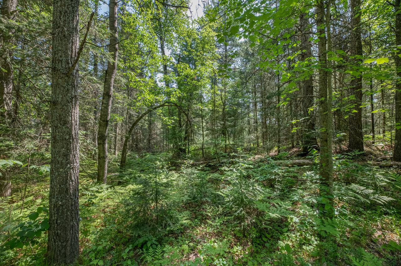 Off East Flowage Road Conover, WI 54519 - Photo 14 of 20 Gallery Image 14
