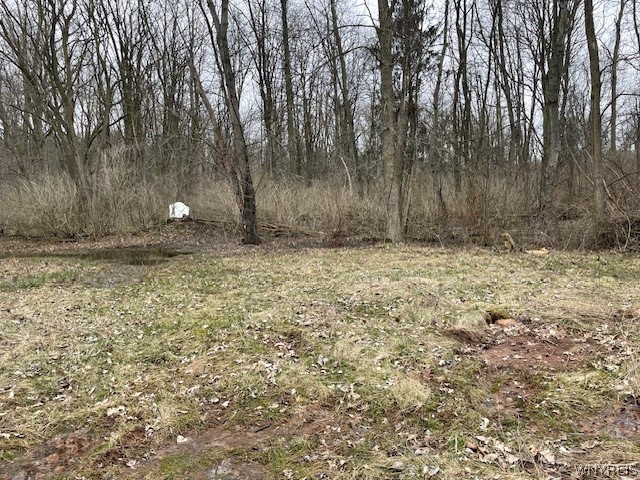 3735 Lockport Olcott Road Newfane, NY 14094 - Photo 5 of 6