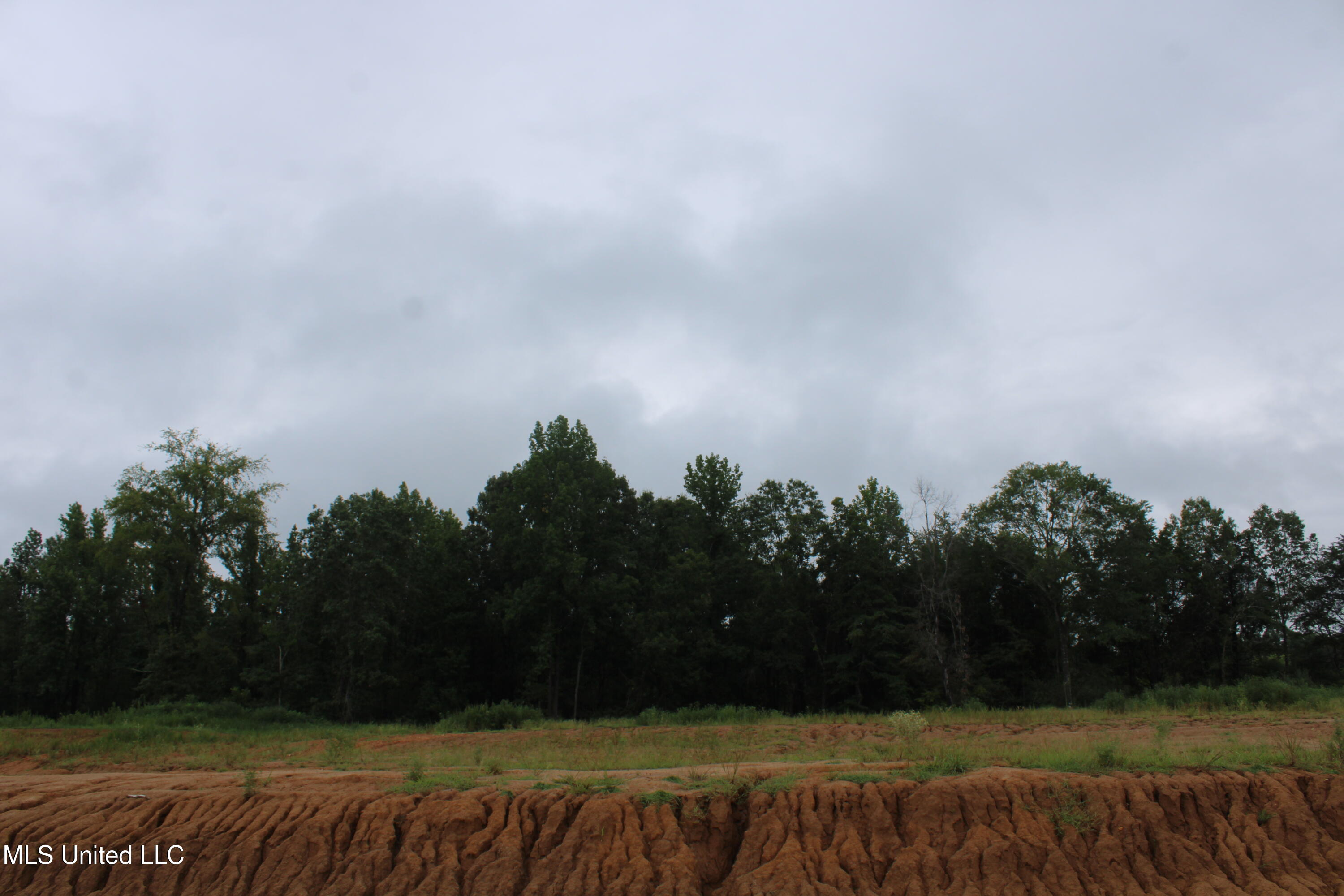 13 Taylor Nichole Road Byhalia, MS 38611 - Photo 14 of 22 IMG_2097