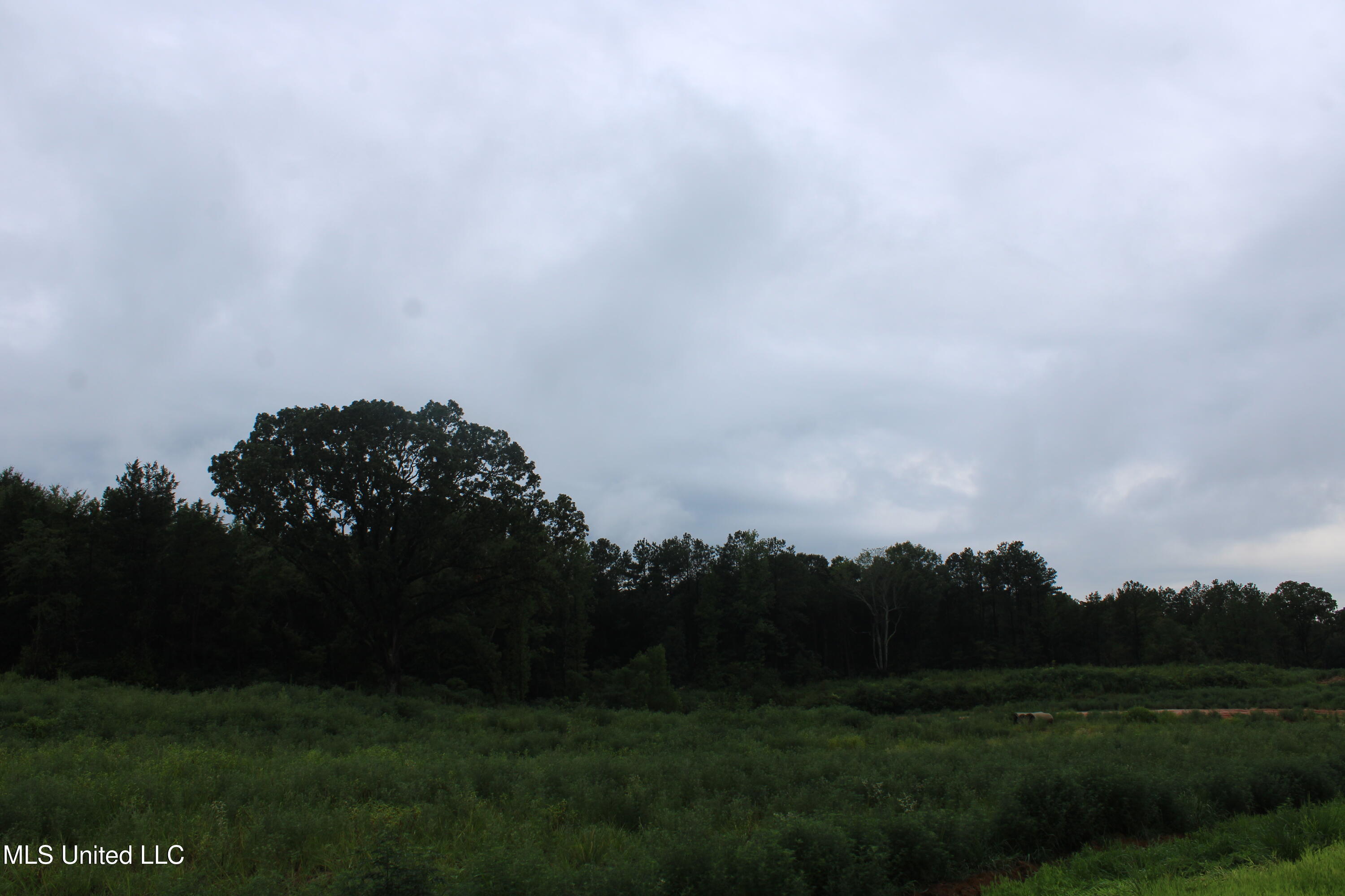 13 Taylor Nichole Road Byhalia, MS 38611 - Photo 15 of 22 IMG_2098