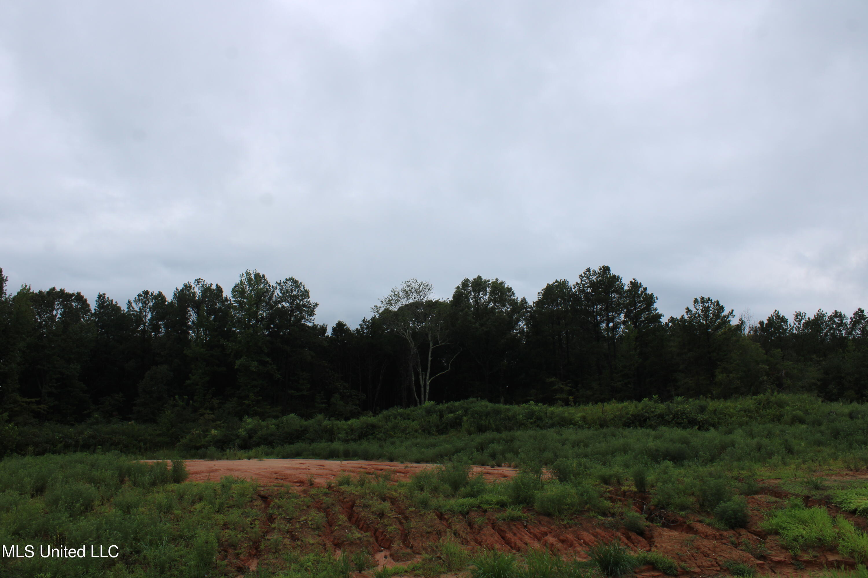 13 Taylor Nichole Road Byhalia, MS 38611 - Photo 17 of 22 IMG_2100