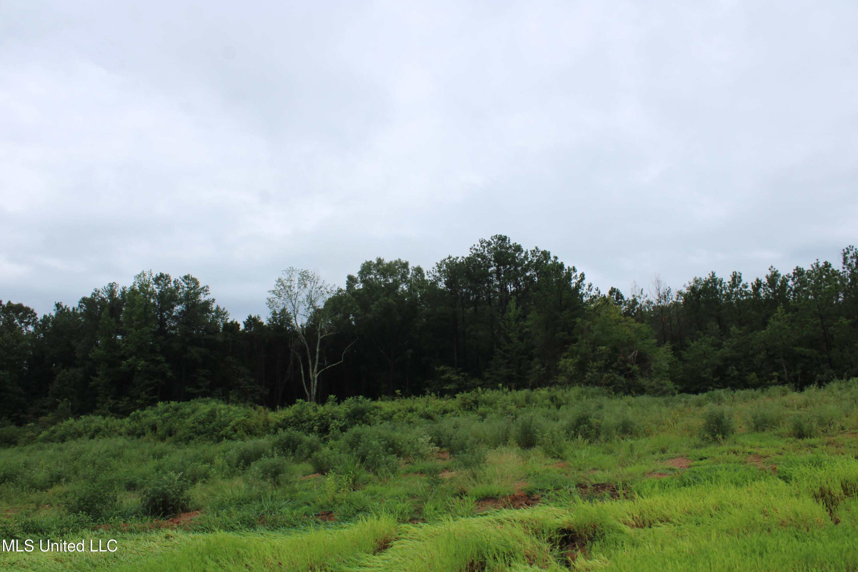 13 Taylor Nichole Road Byhalia, MS 38611 - Photo 18 of 22 IMG_2101