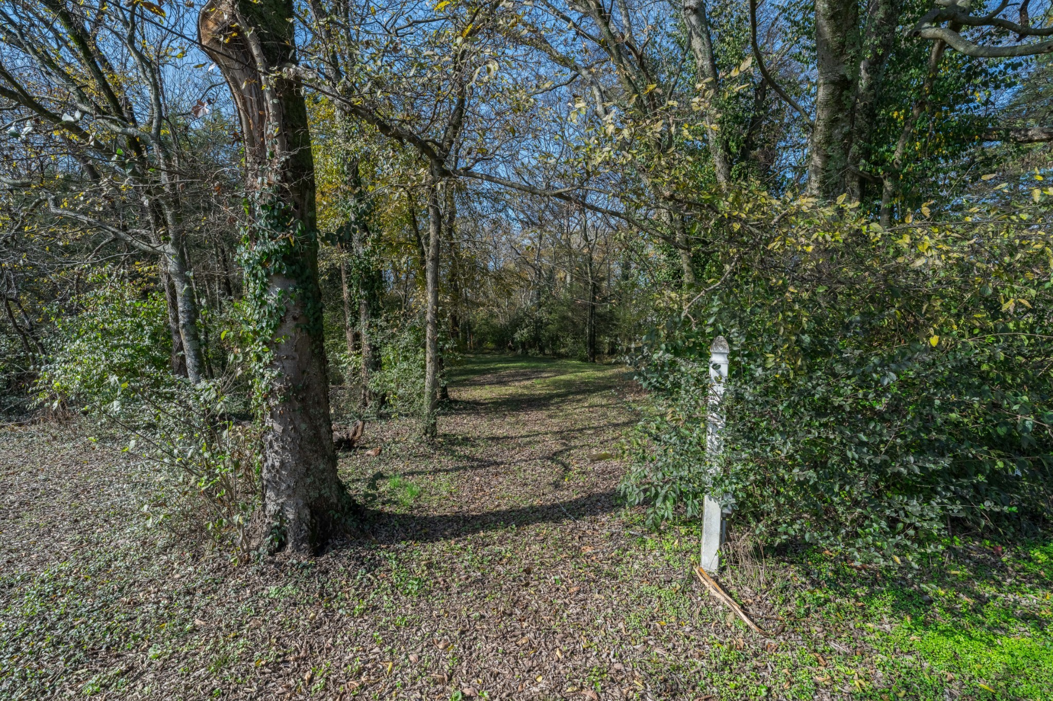 1045 Emerald Way Castalian Springs, TN 37031 - Photo 26 of 45