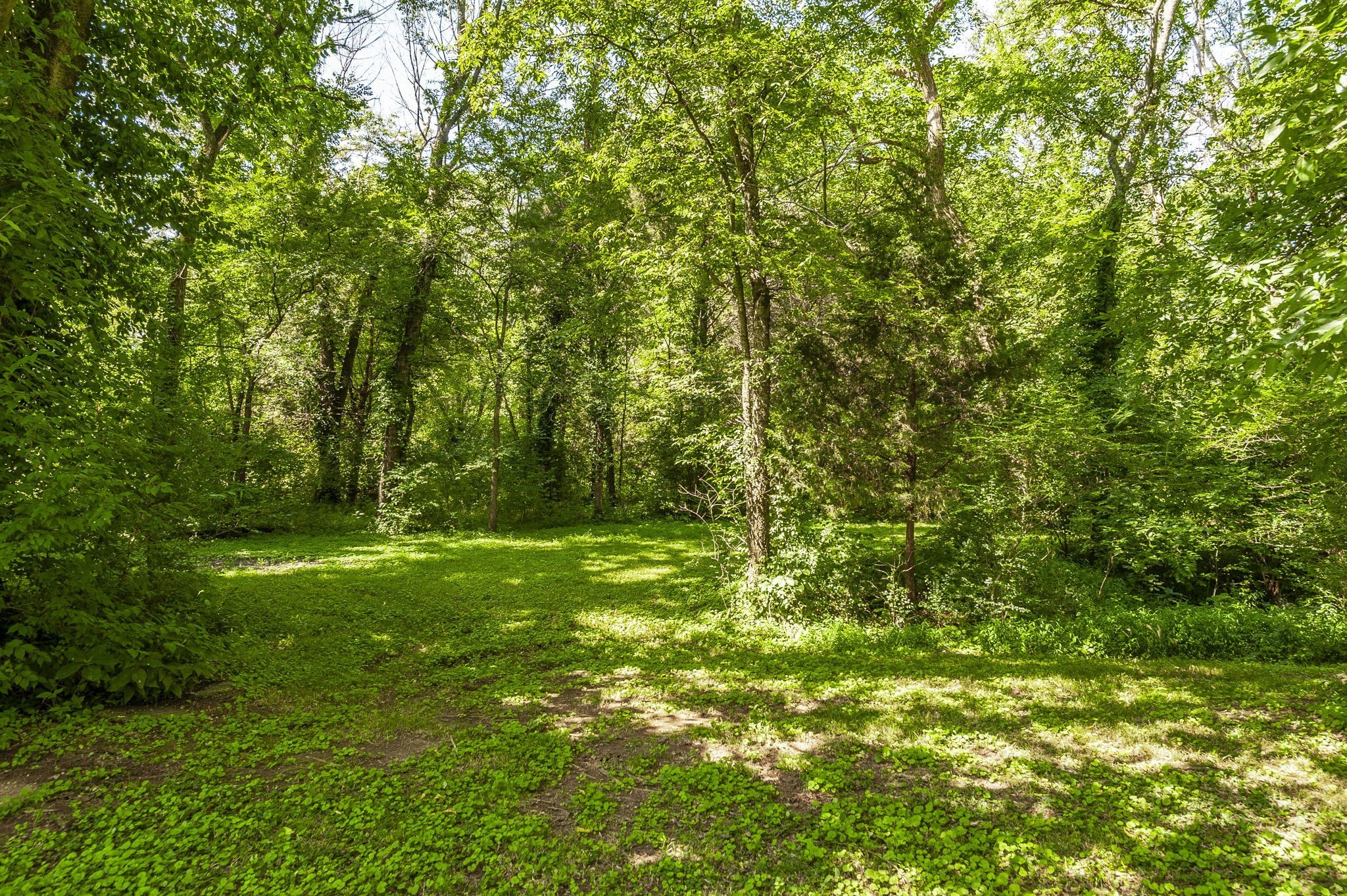 1045 Emerald Way Castalian Springs, TN 37031 - Photo 27 of 45