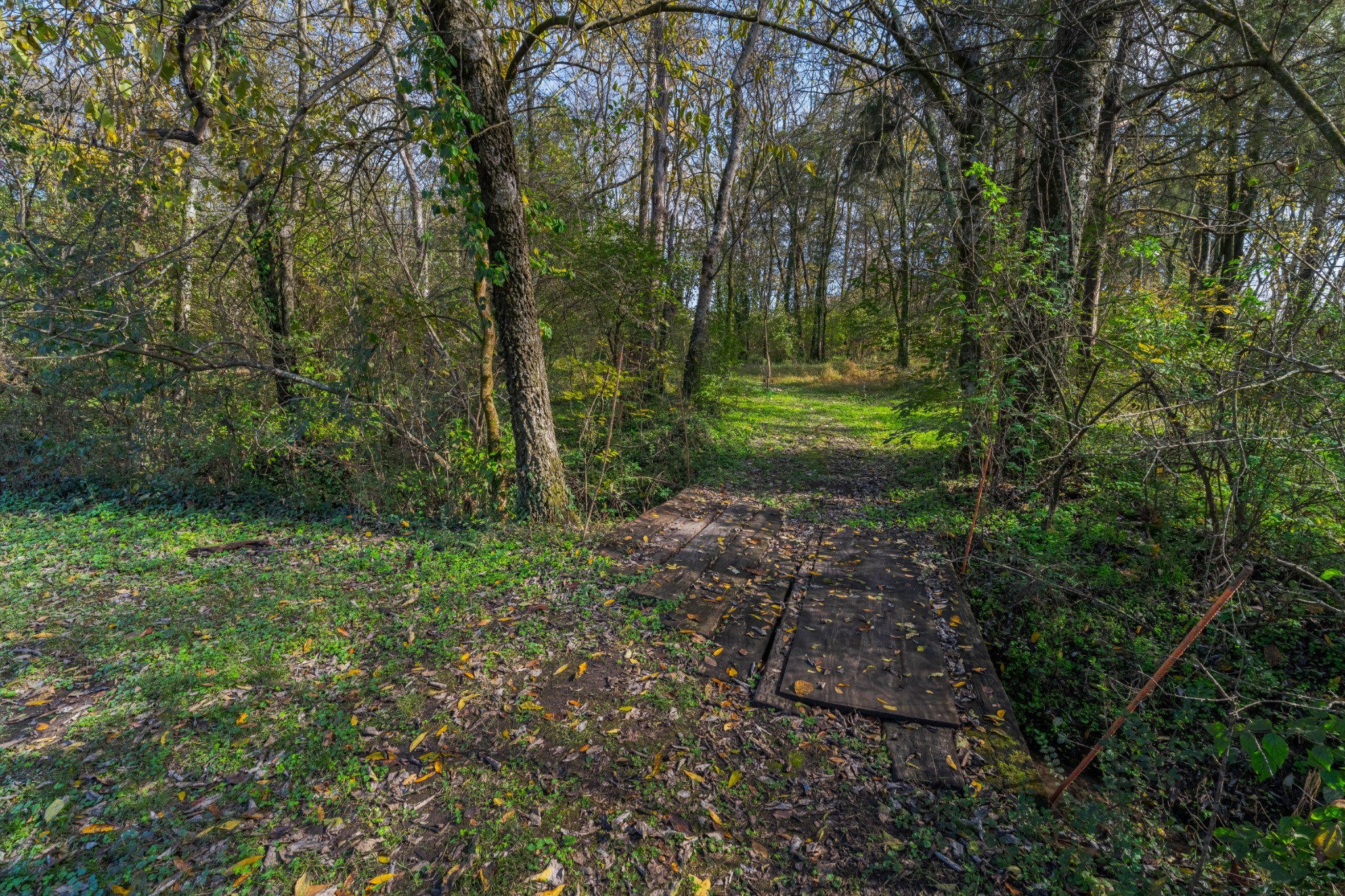 1045 Emerald Way Castalian Springs, TN 37031 - Photo 29 of 45