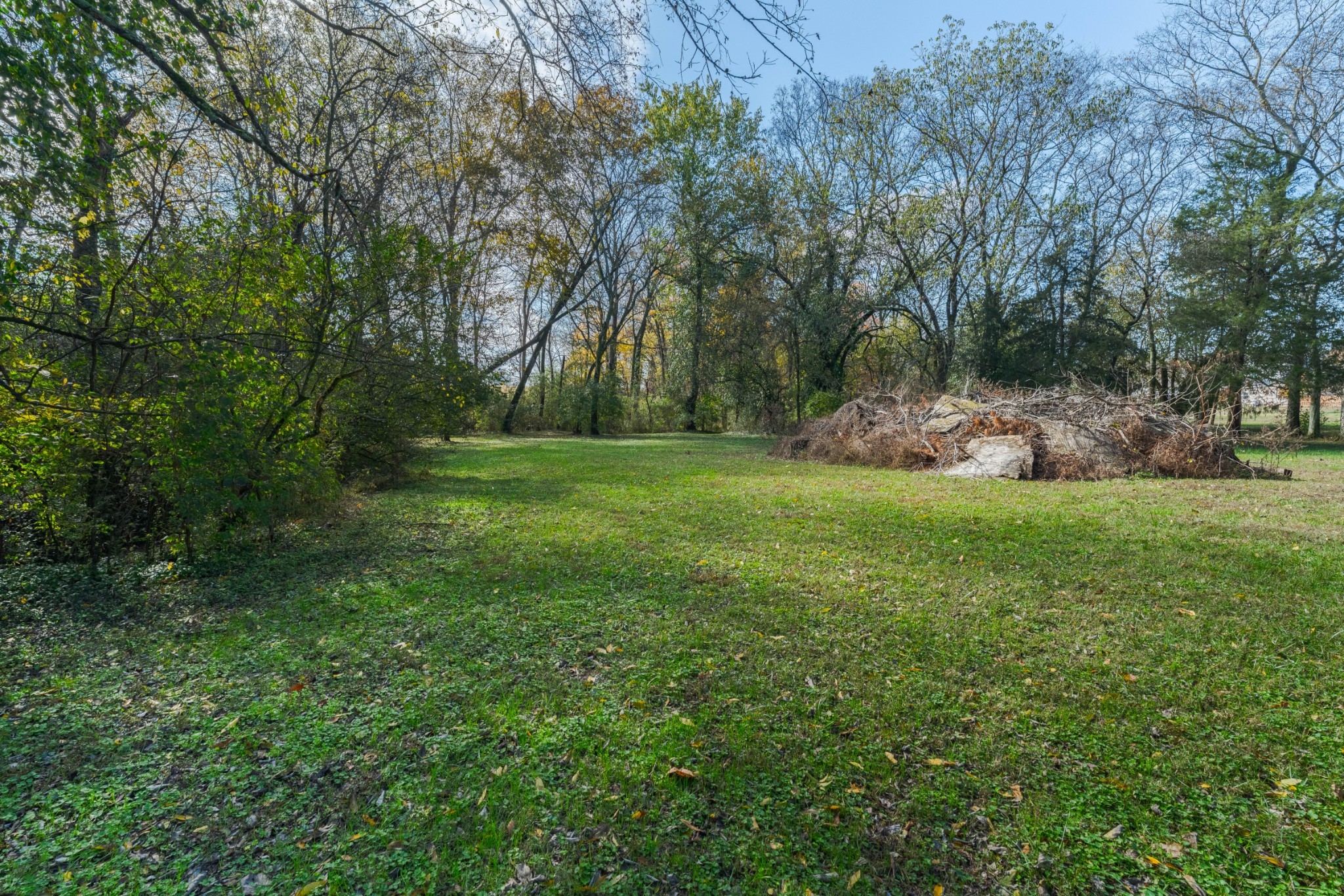 1045 Emerald Way Castalian Springs, TN 37031 - Photo 31 of 45
