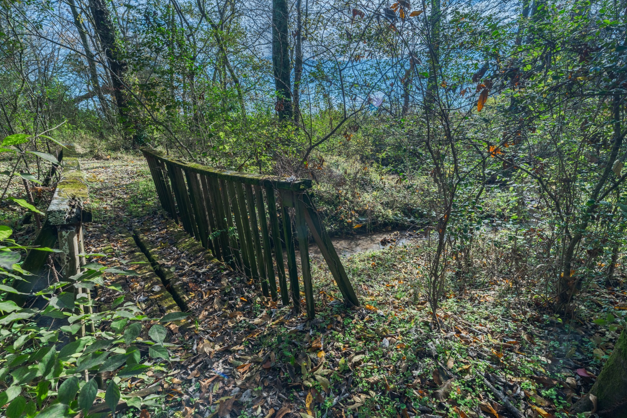 1045 Emerald Way Castalian Springs, TN 37031 - Photo 33 of 45