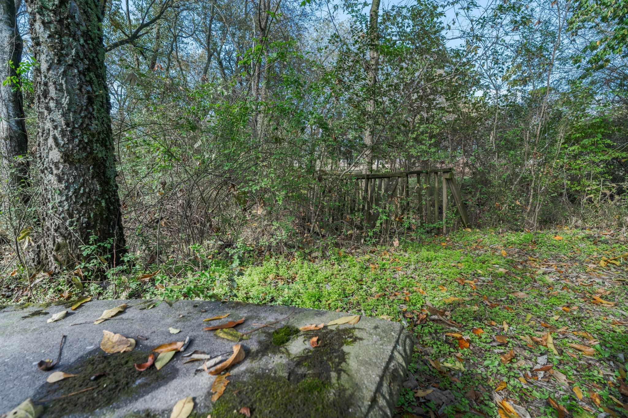 1045 Emerald Way Castalian Springs, TN 37031 - Photo 34 of 45