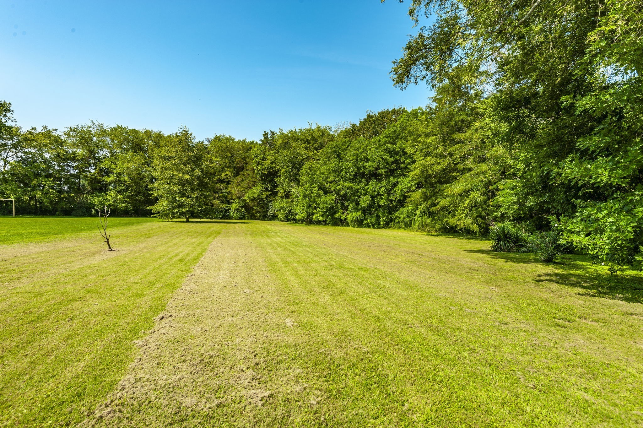 1045 Emerald Way Castalian Springs, TN 37031 - Photo 36 of 45
