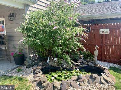 35 Greenbriar Road Levittown, PA 19057 - Photo 11 of 14 Garden and fish pond