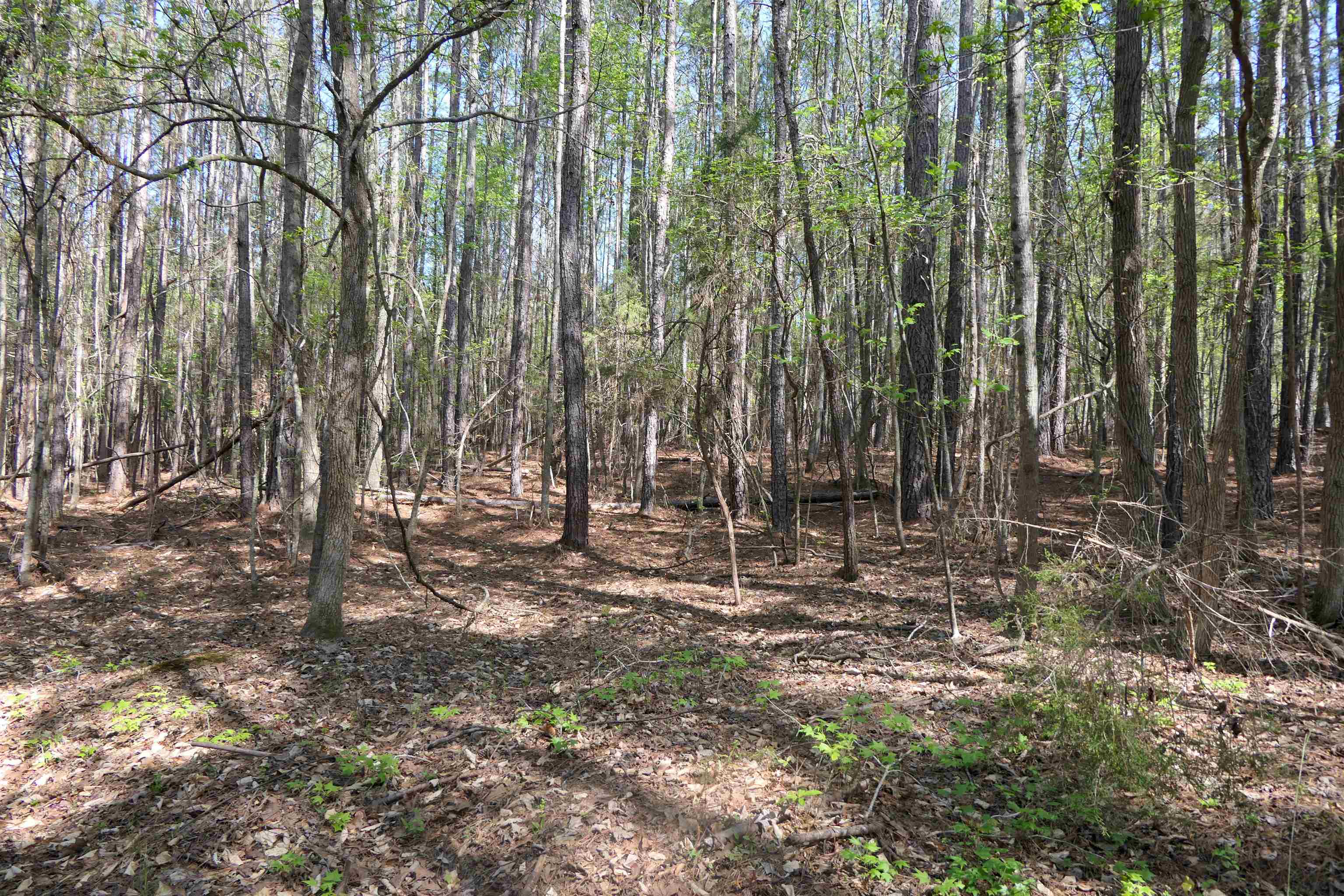 730 Browning Road Enoree, SC 29335 - Photo 24 of 25