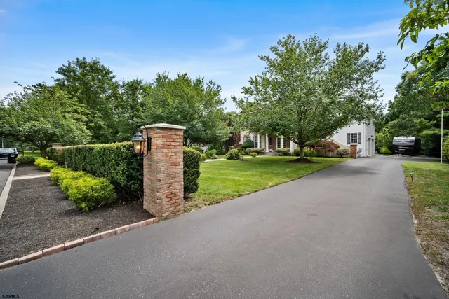 a view of a park with plants and large trees