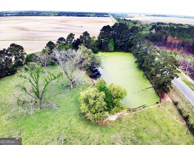 $522,080 | 5854 Mt Olive Road, Pelham, GA 31779