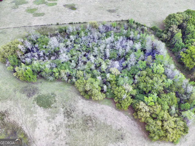 $522,080 | 5854 Mt Olive Road, Pelham, GA 31779