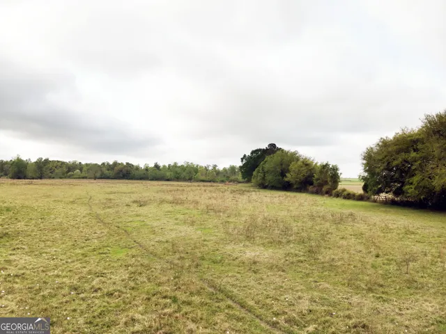 $522,080 | 5854 Mt Olive Road, Pelham, GA 31779