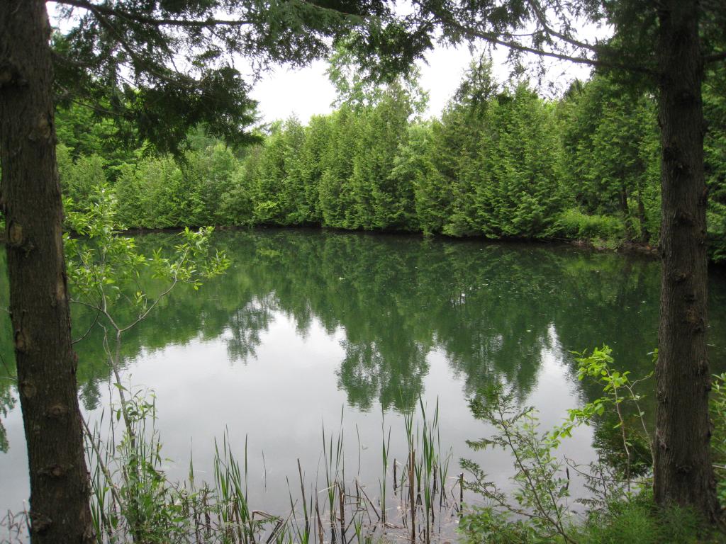 3159 Newark Pond Road Newark, VT 05871 - Photo 2 of 36 Gallery Image 2