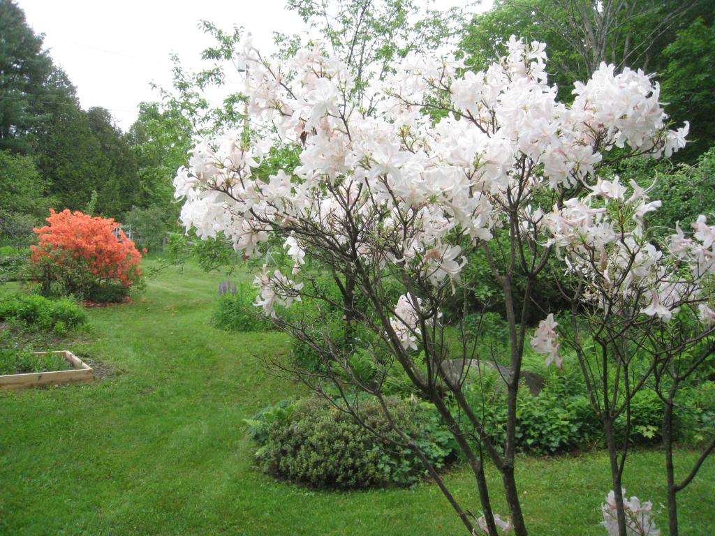 3159 Newark Pond Road Newark, VT 05871 - Photo 28 of 36 Gallery Image 28