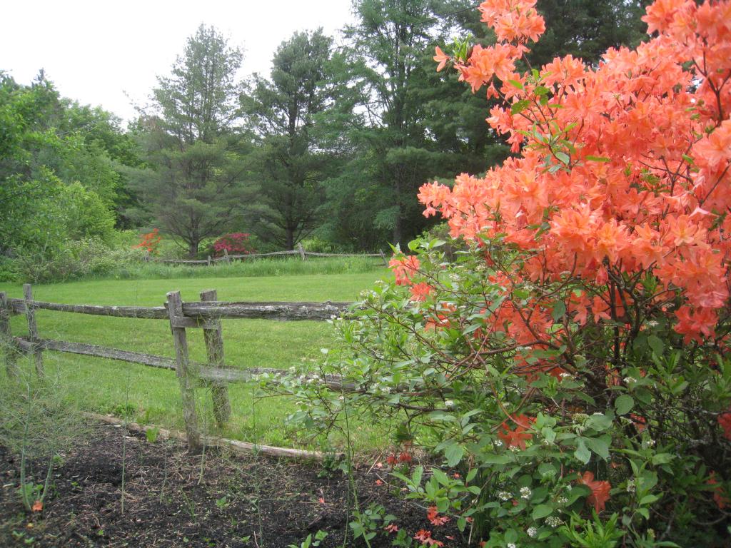 3159 Newark Pond Road Newark, VT 05871 - Photo 29 of 36 Gallery Image 29