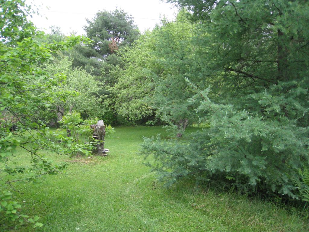 3159 Newark Pond Road Newark, VT 05871 - Photo 32 of 36 Gallery Image 32