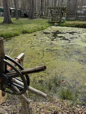 $259,000 | 67 Bottom Lane, Lyndhurst, VA 22952