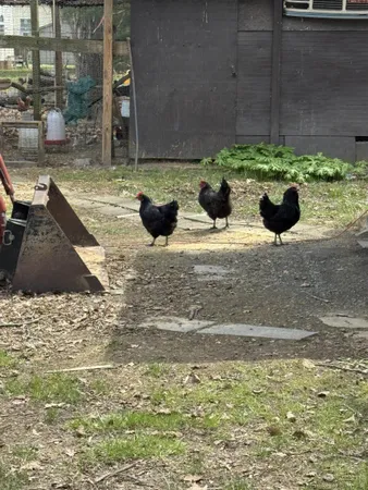 $259,000 | 67 Bottom Lane, Lyndhurst, VA 22952