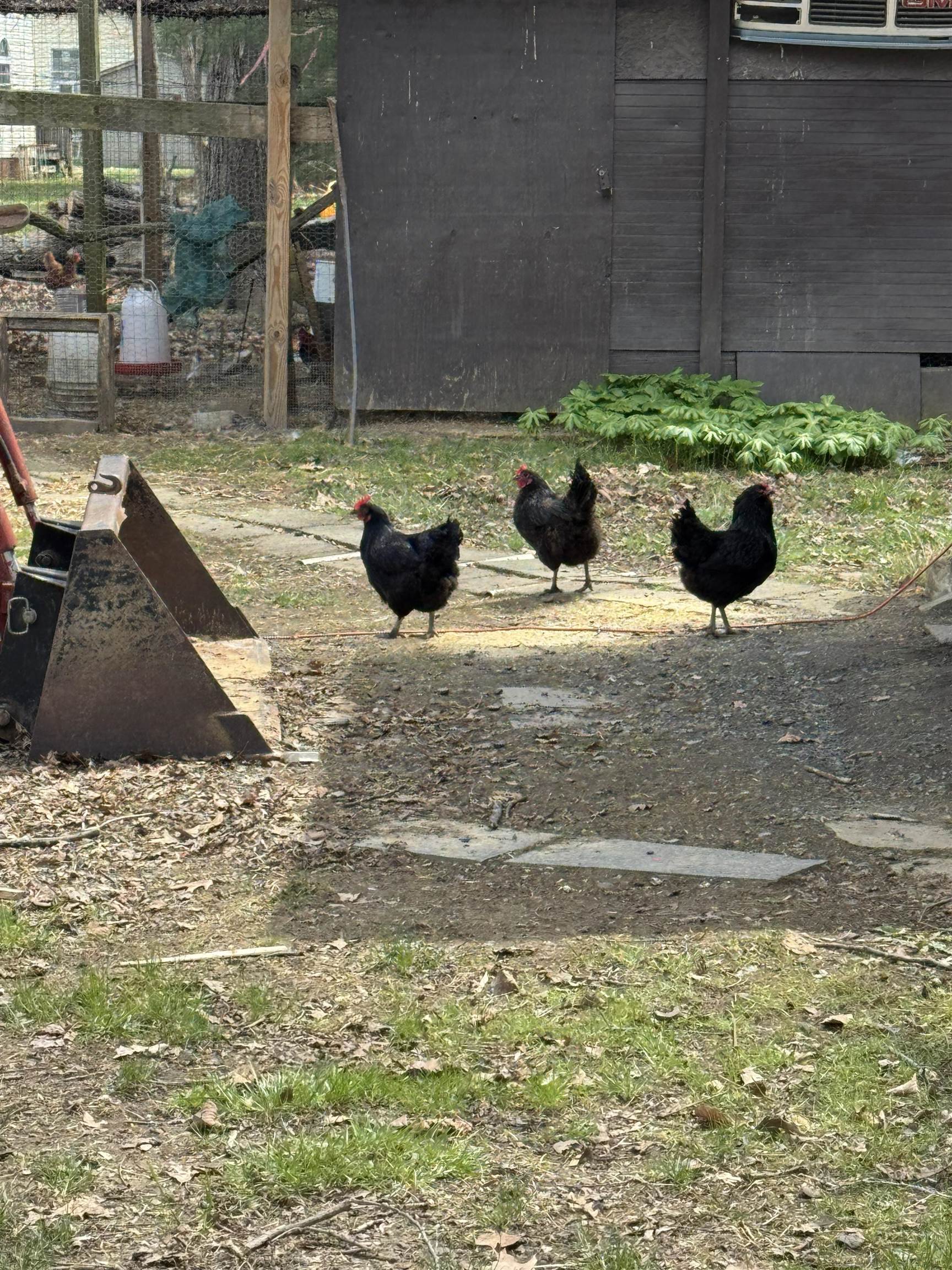 67 Bottom Lane Lyndhurst, VA 22952 - Photo 32 of 38