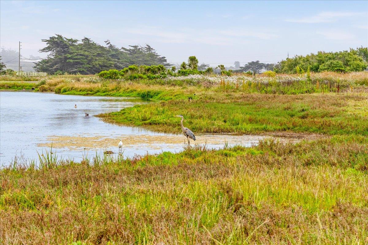 101 Shell Road, Unit 62 Watsonville, CA 95076 - Photo 36 of 38 a view of a lake view