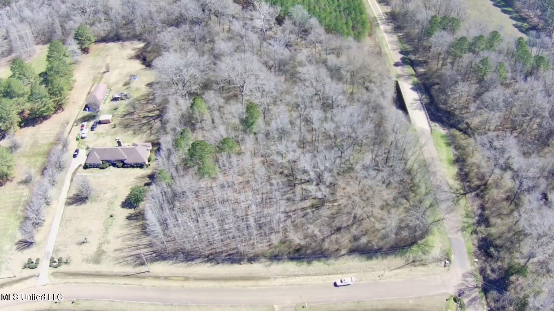 Cobbville Road Canton, MS 39046 - Photo 11 of 11 20250226215658661110000000-o