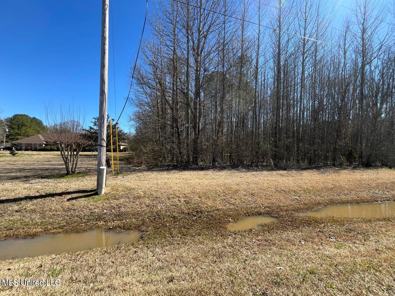 Cobbville Road Canton, MS 39046 - Photo 4 of 11 20250226215650050649000000-o