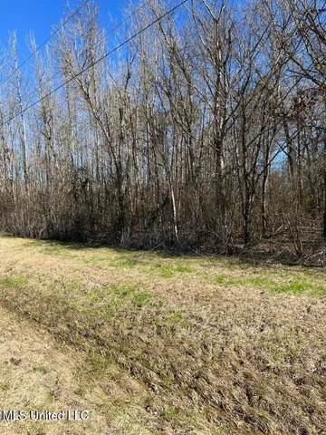 $39,500 | Cobbville Road, Canton, MS 39046