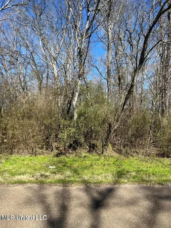 $39,500 | Cobbville Road, Canton, MS 39046