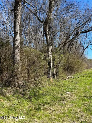 $39,500 | Cobbville Road, Canton, MS 39046