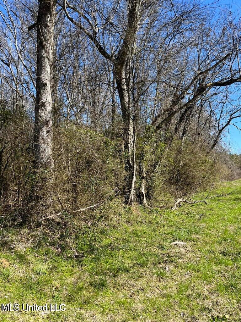 Cobbville Road Canton, MS 39046 - Photo 9 of 11 20250226215847413237000000-o
