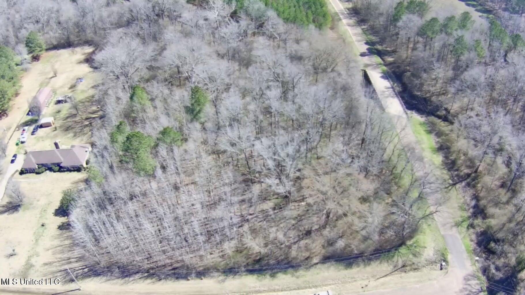 Cobbville Road Canton, MS 39046 - Photo 10 of 11 20250226215702033846000000-o