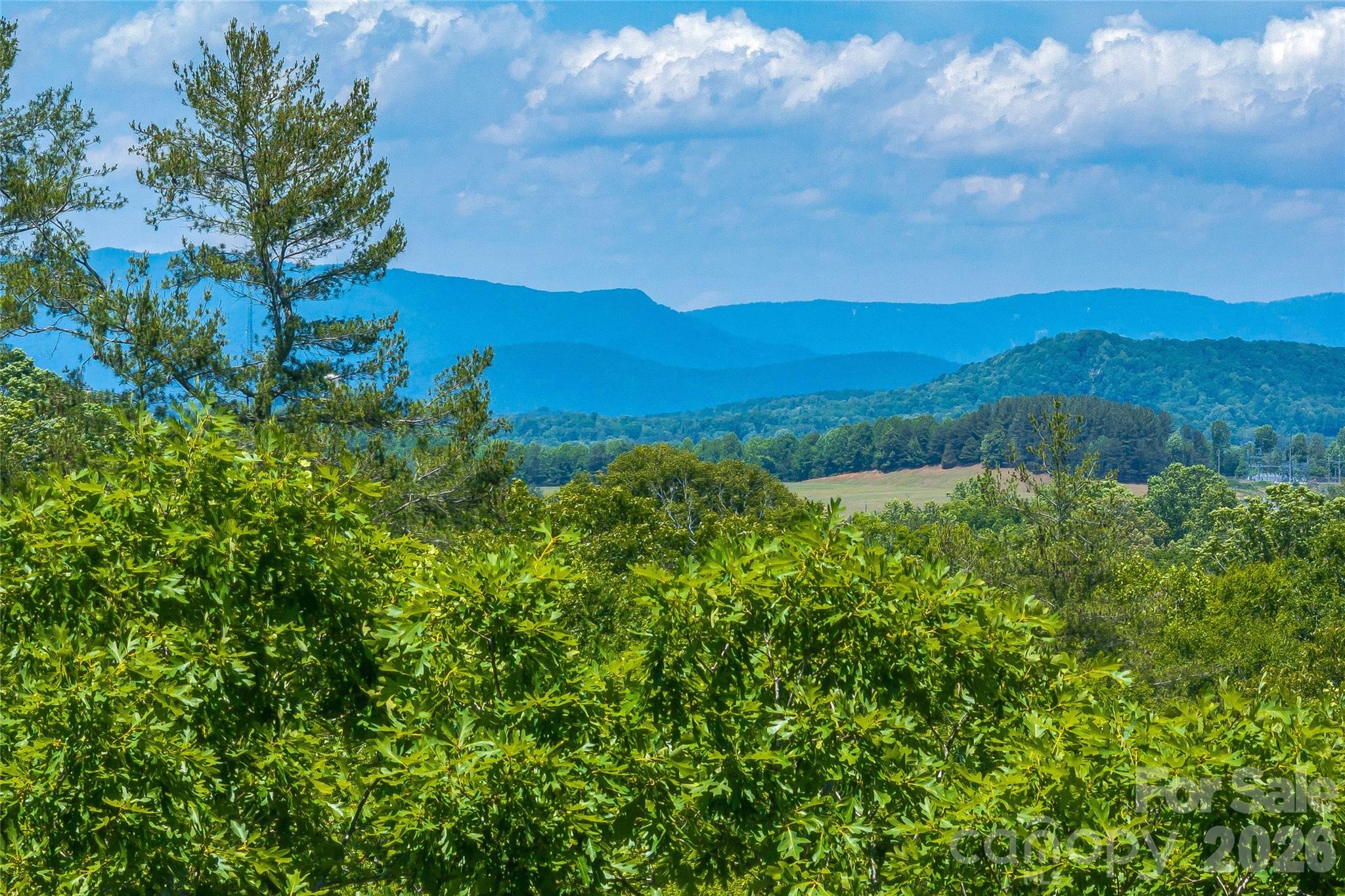 a view of a lush green forest with a house in the background