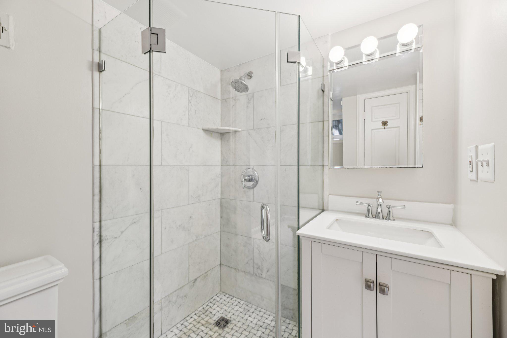 1545 35th Street Northwest Washington, DC 20007 - Photo 62 of 65 a bathroom with a shower sink vanity and toilet