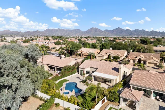 a view of a yard with plants and trees