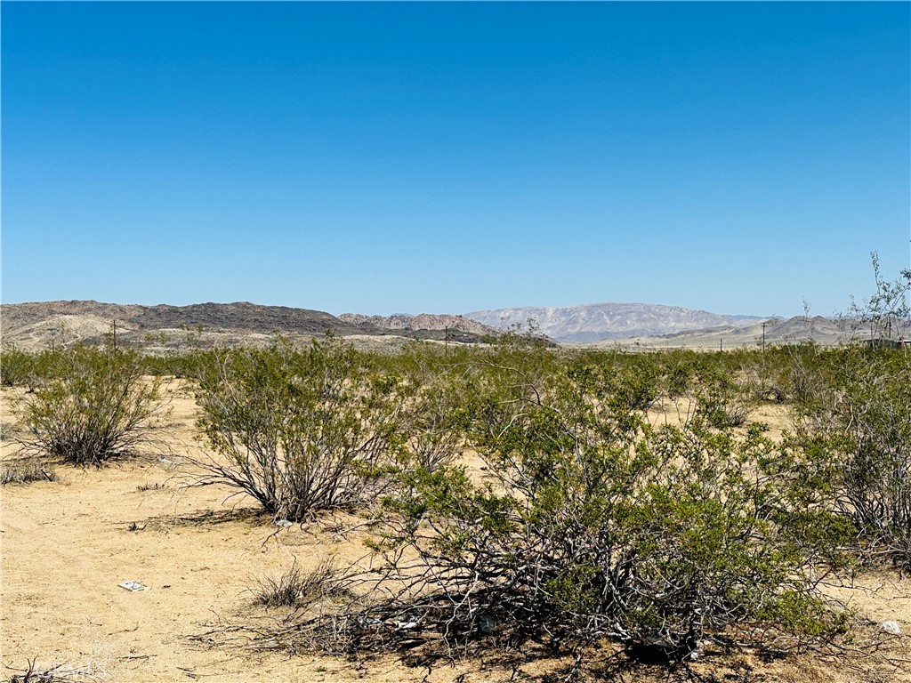 2 Castillo Road Landers, CA 92285 - Photo 1 of 1 Gallery Image 1