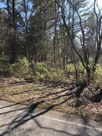 a view of a yard with a tree