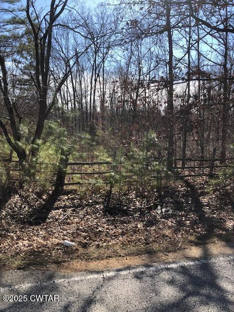 413 Concord Cades Road Trenton, TN 38382 - Photo 2 of 4 a view of a yard with large trees