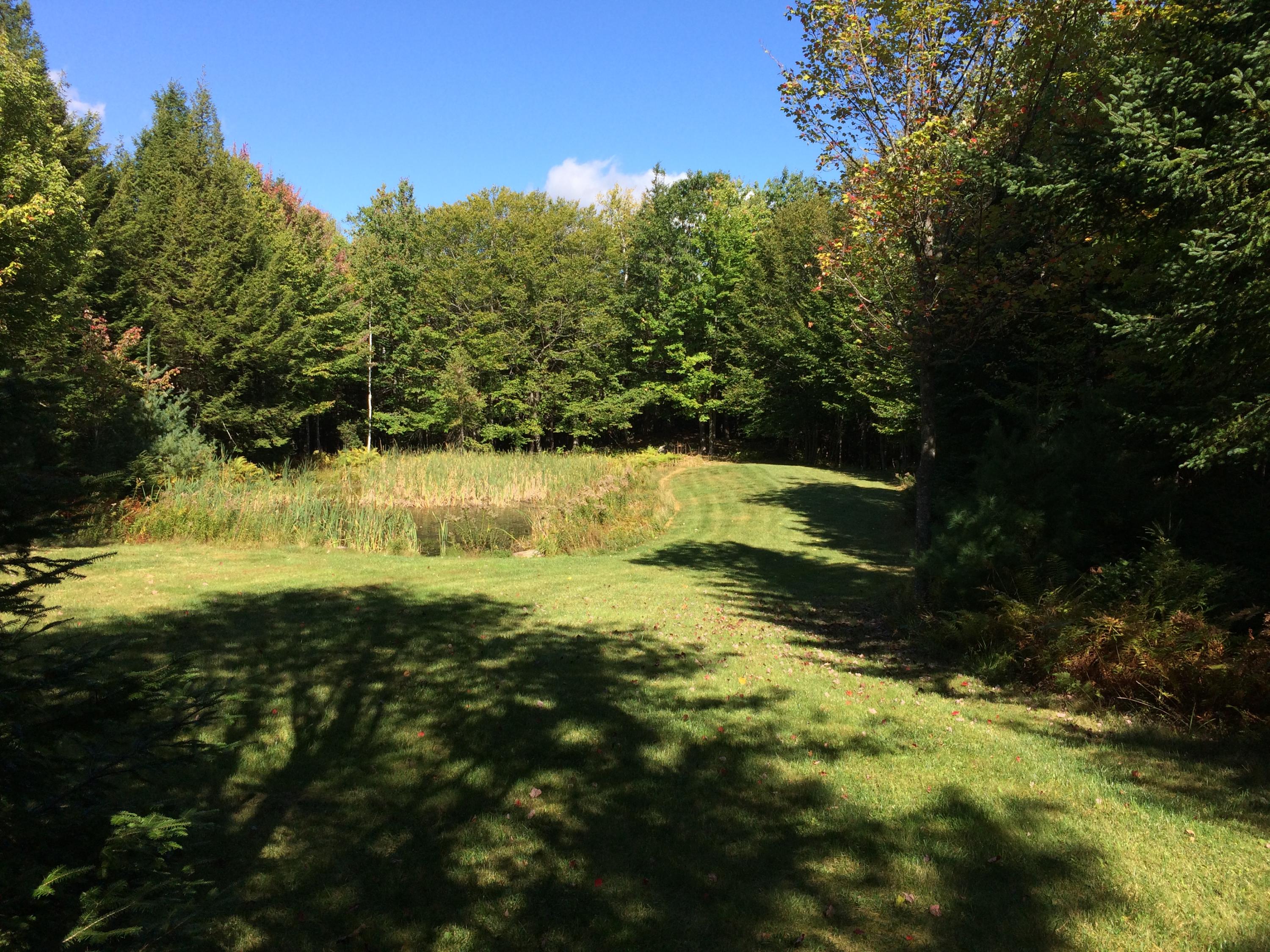0 Brett Hill Road South Paris, ME 04281 - Photo 3 of 10 IMG_1796