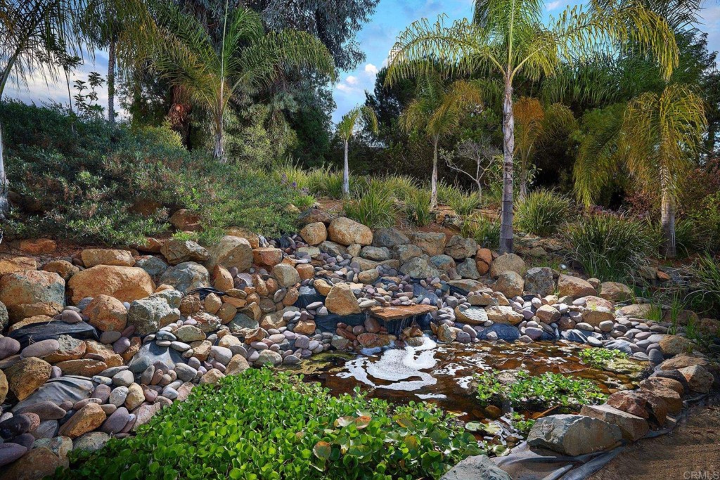 3182 Lone Jack Road Encinitas, CA 92024 - Photo 37 of 37 a view of a garden with a tree