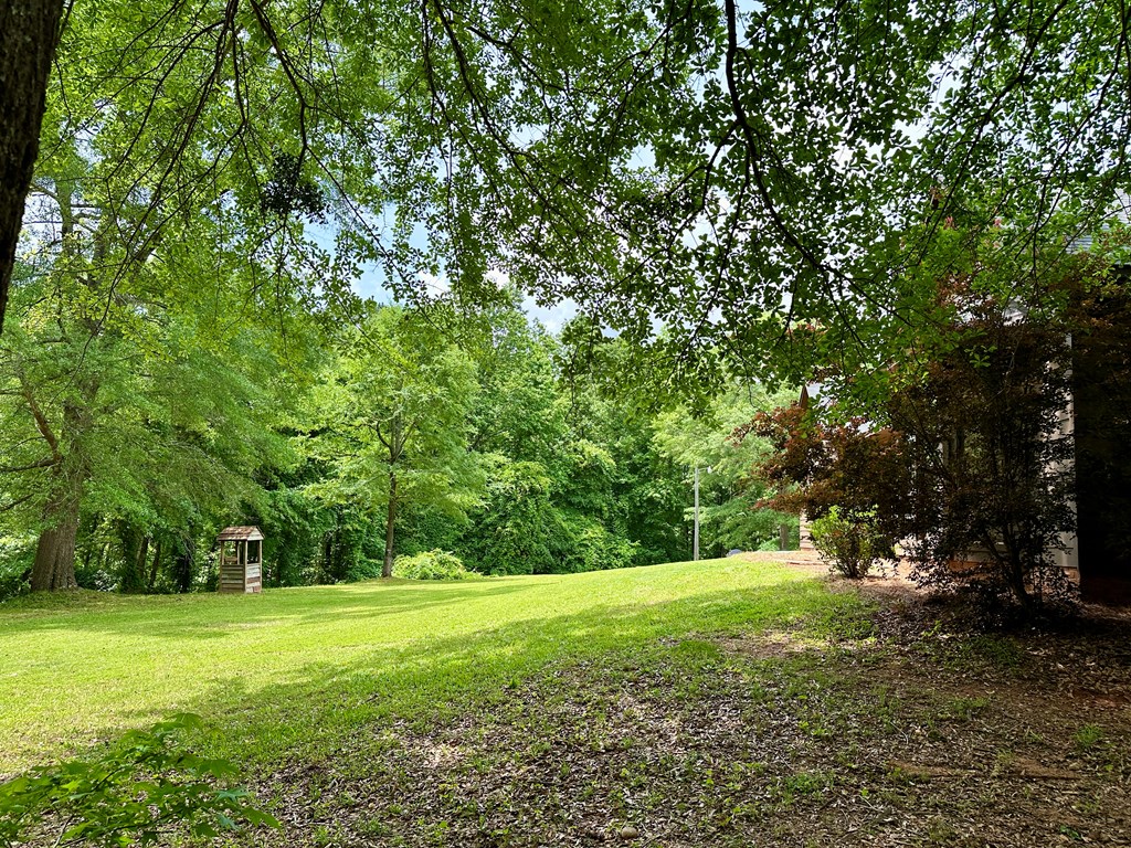 8032 Warm Springs Road Midland, GA 31820 - Photo 58 of 68 Gallery Image 58