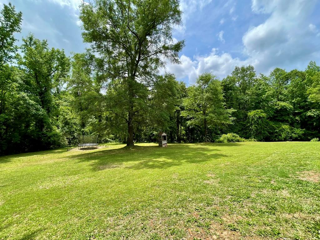 8032 Warm Springs Road Midland, GA 31820 - Photo 59 of 68 Gallery Image 59