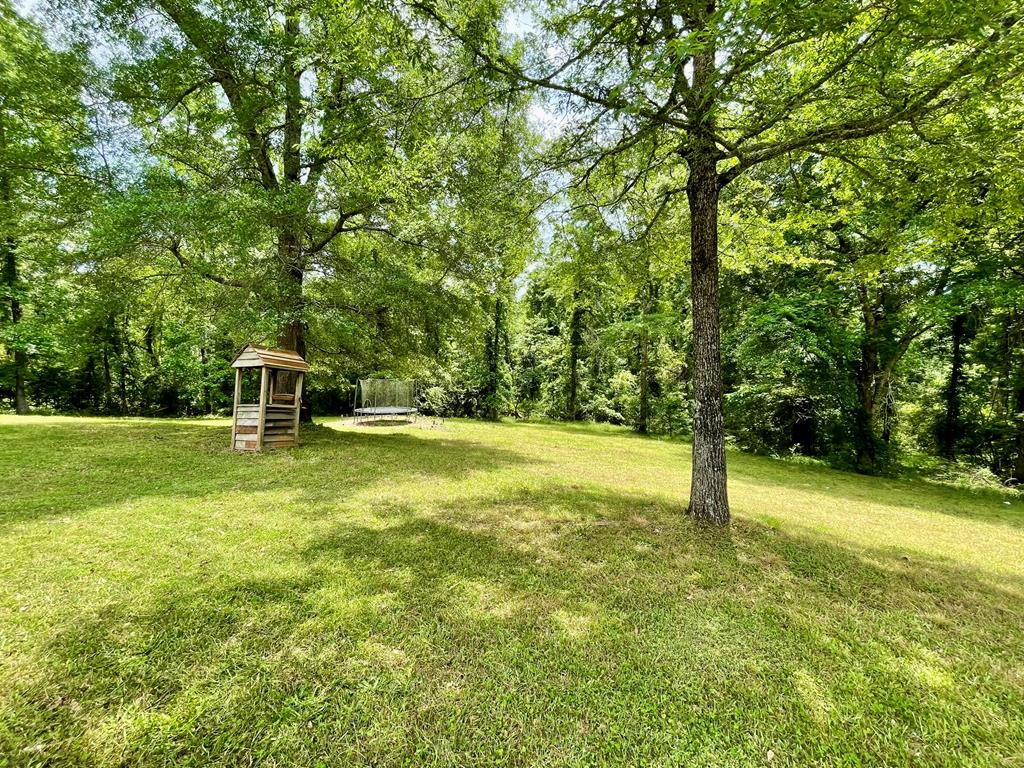 8032 Warm Springs Road Midland, GA 31820 - Photo 60 of 68 Gallery Image 60