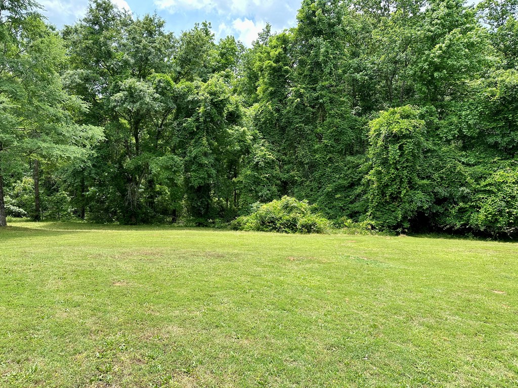 8032 Warm Springs Road Midland, GA 31820 - Photo 61 of 68 Gallery Image 61