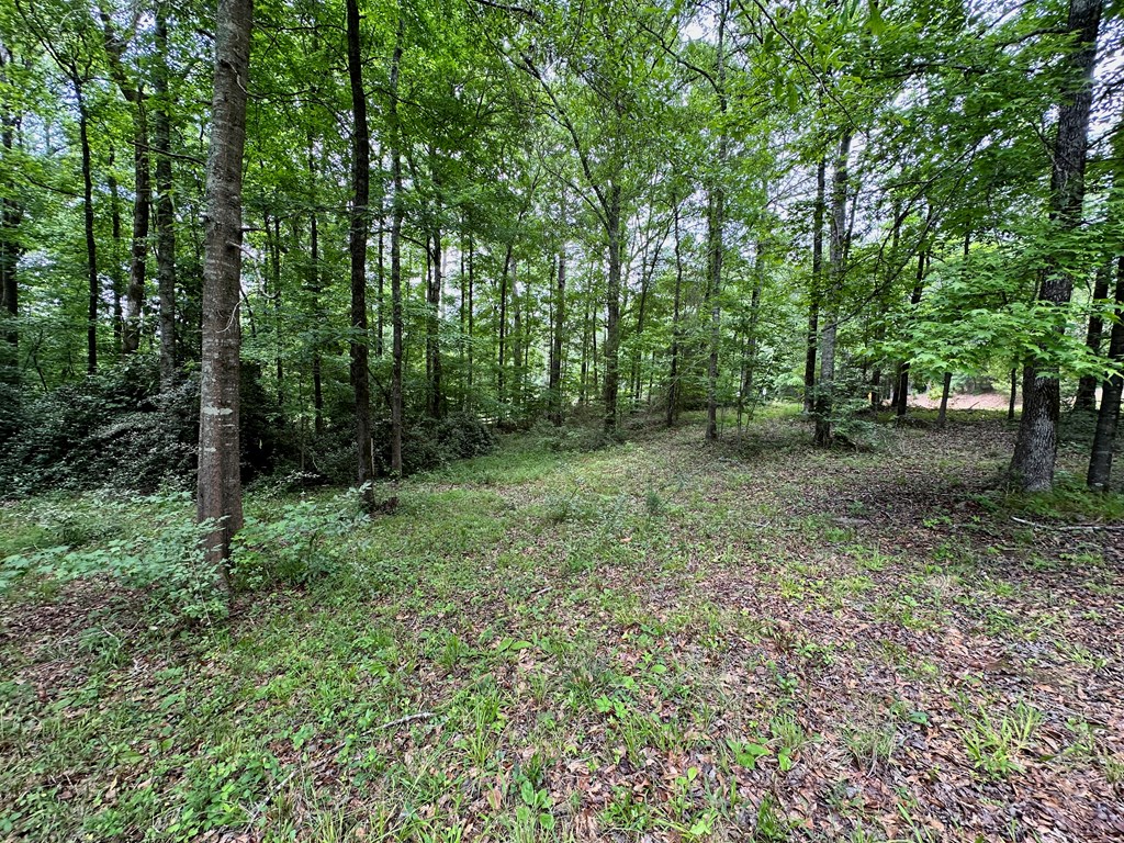 8032 Warm Springs Road Midland, GA 31820 - Photo 62 of 68 Gallery Image 62