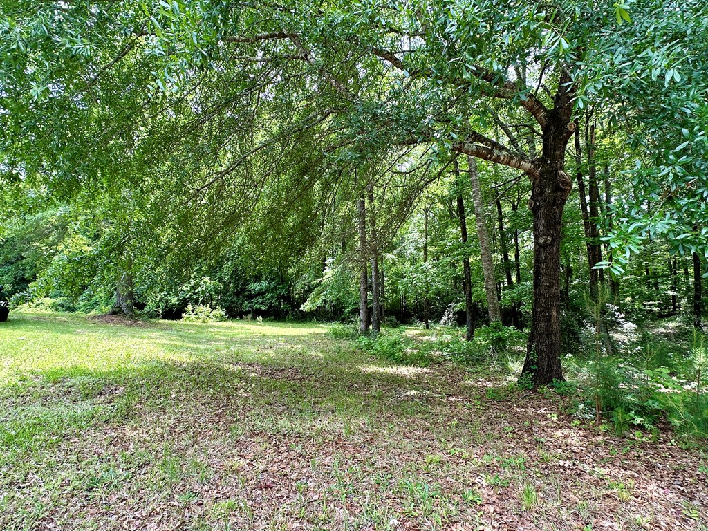 8032 Warm Springs Road Midland, GA 31820 - Photo 63 of 68 Gallery Image 63